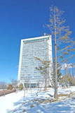 県庁雪