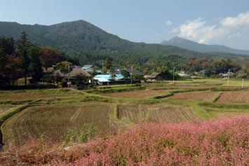 茅葺民家