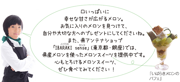 お気に入りのメロンを見つけて、自分や大切な方へのプレゼントにしてくださいね。