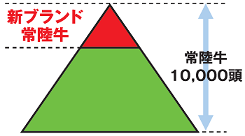 常陸牛新ブランド化へ