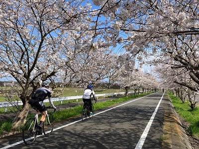 つちうら桜巡りライド
