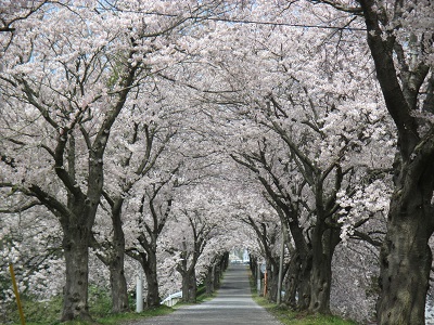 県立土浦第三高等学校