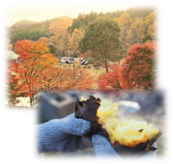 いばらき秋キャンプのイメージ