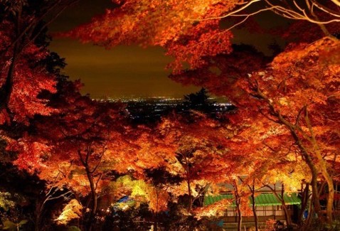 筑波山の紅葉