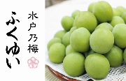 水戸名産「ふくゆい」
