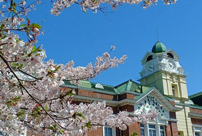 牛久シャトーの桜2025