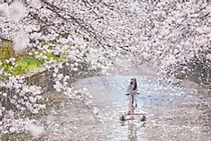 お花見水上サイクリング