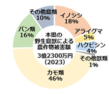 2023年度農作物被害金額の表