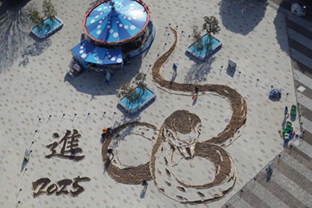 干支の巨大地上絵「巳」(国営ひたち海浜公園)