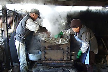 ほしいも作り、蒸す