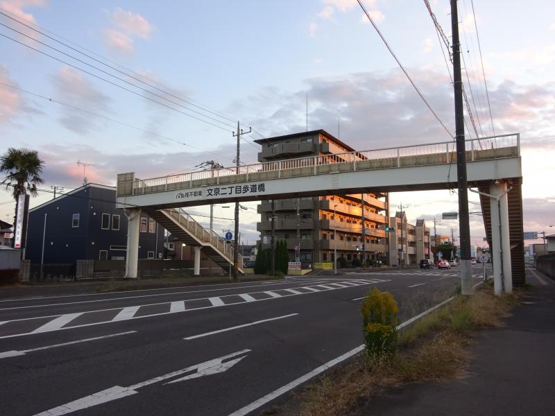 bunkyo1