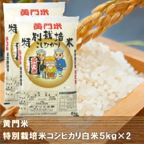 6年茨城県産黄門米特別栽培米コシヒカリ白米5㎏×2