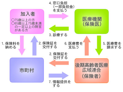 イラスト：後期高齢者医療制度のフロー図