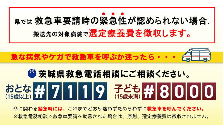選定医療費
