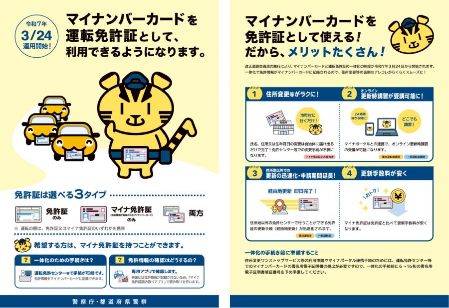 マイナ免許証チラシ