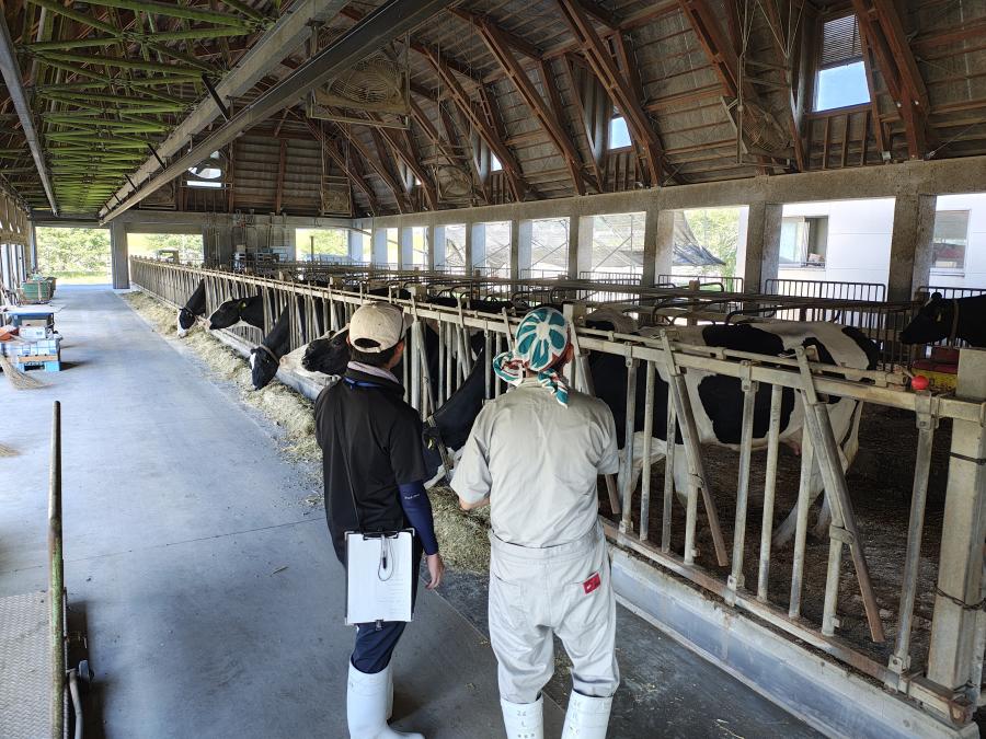 外部有職者による調査
