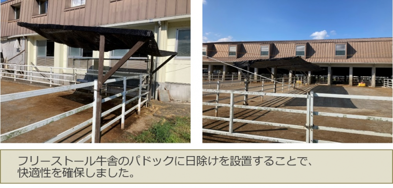日除け