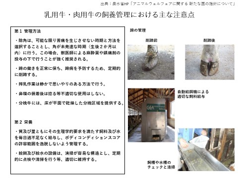 研修資料の抜粋