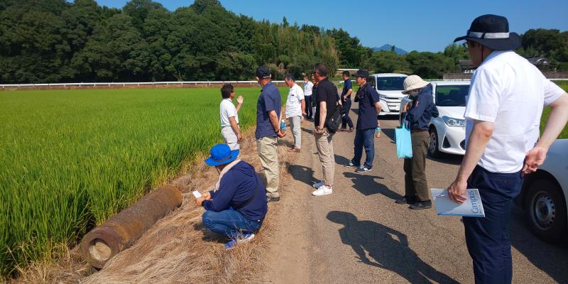 筑西普及センターの普及員による圃場説明