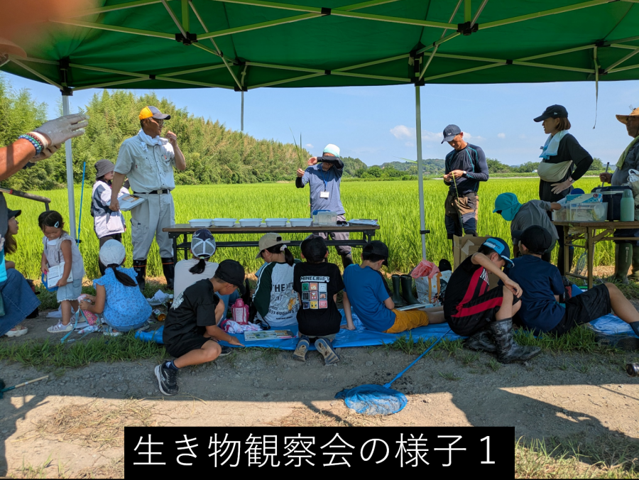 生き物観察会1