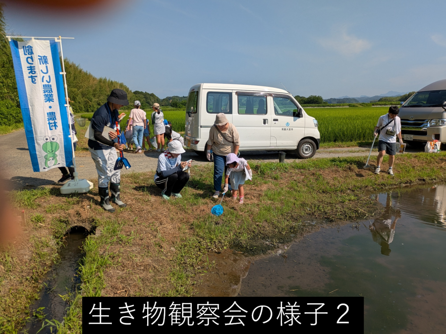 生き物観察会2