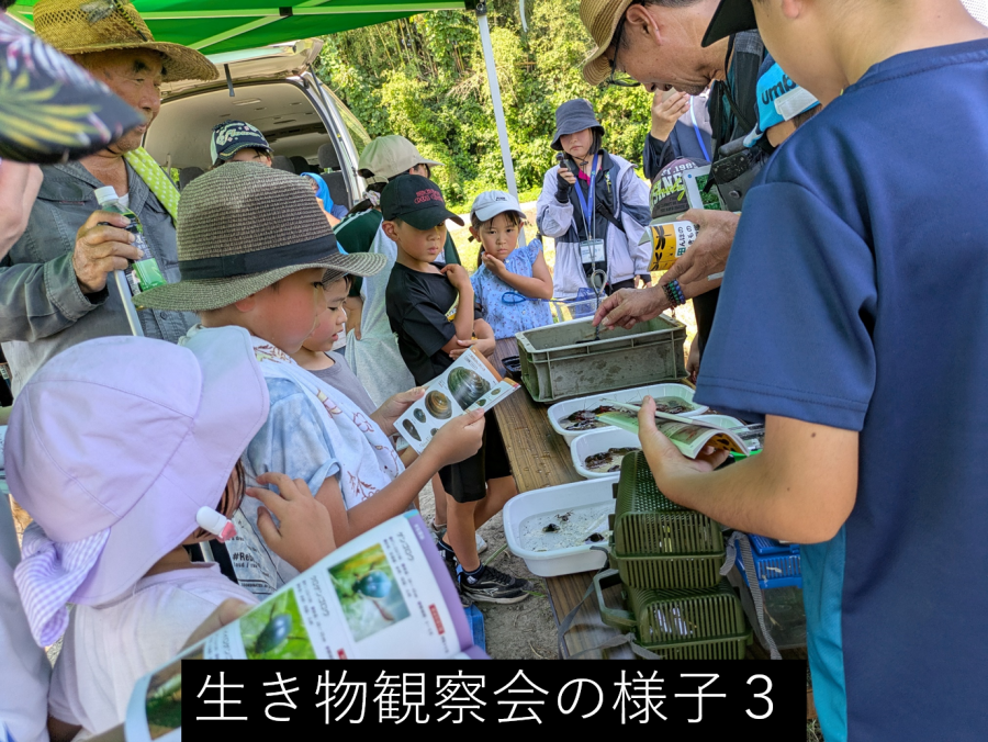 生き物観察会3