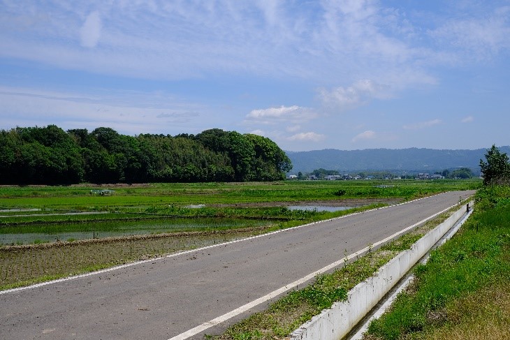 有ヶ池道路