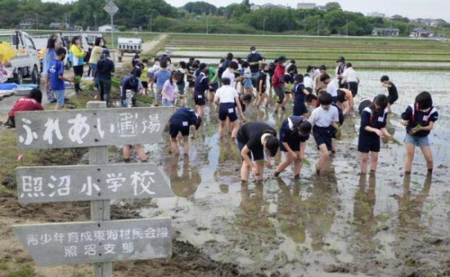 R4田植え体験