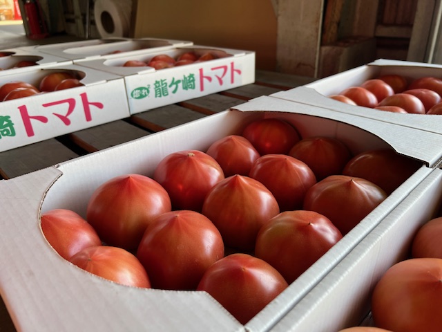 tomatoup