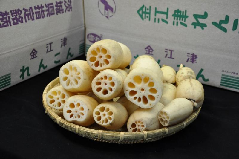 金江津れんこんの写真