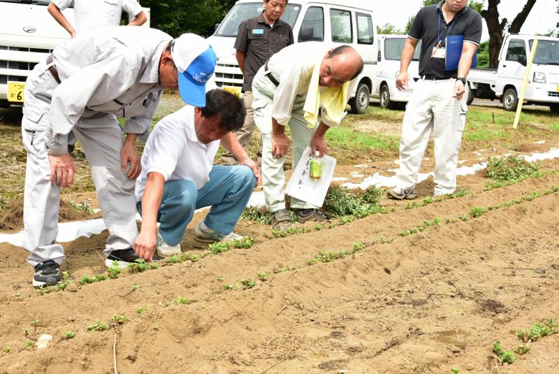 親株管理について説明するベテラン生産者