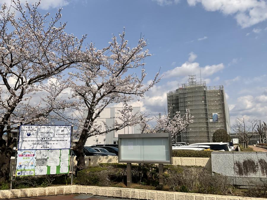 kinnkei