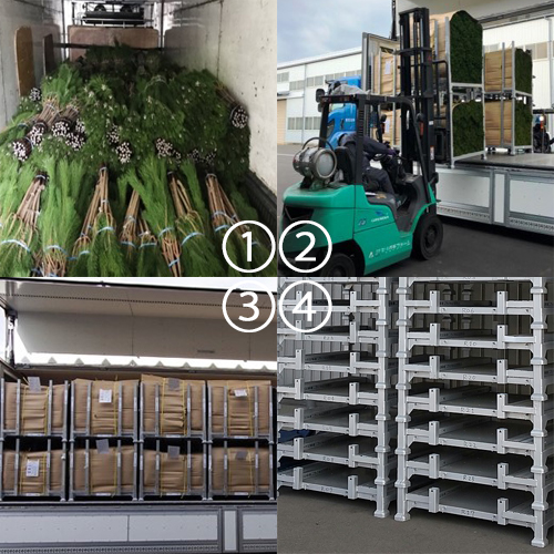 写真5:出荷までのようす