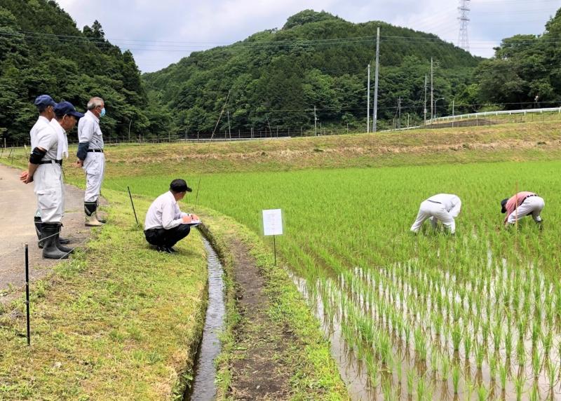 ななかいの里研修会ほ場巡回