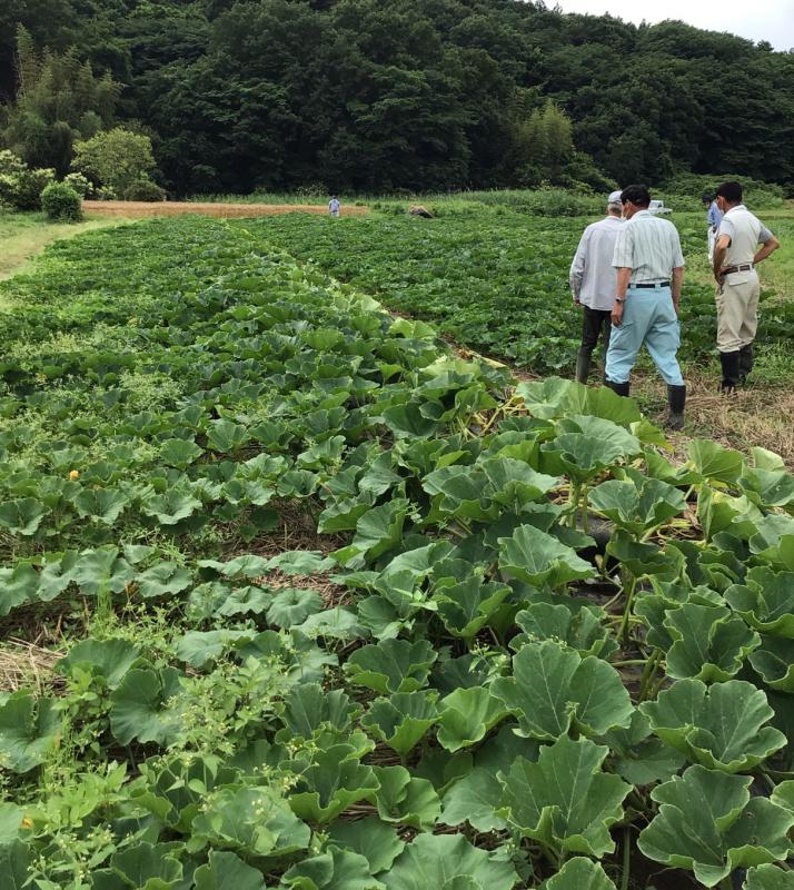 圃場巡回の様子