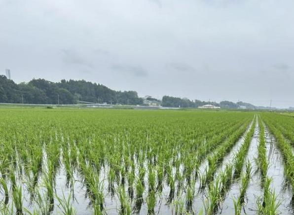 写真2　 ふくまるの様子