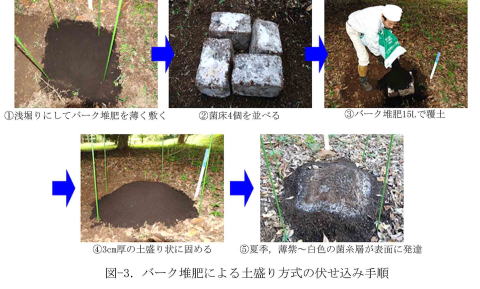 バーク堆肥による土盛り方式の伏せ込み手順