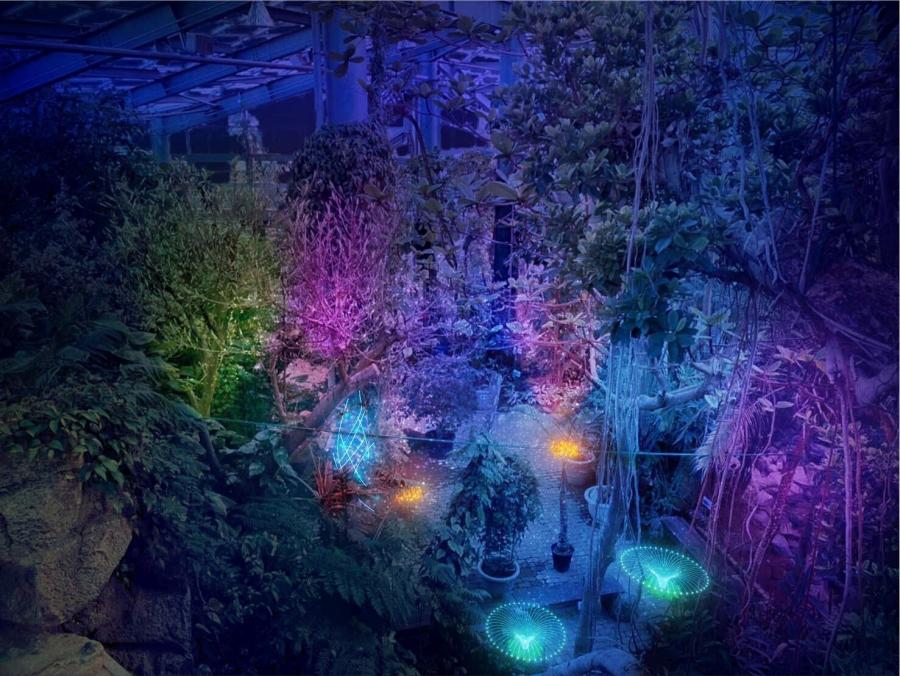 熱帯植物館のライトアップイメージ