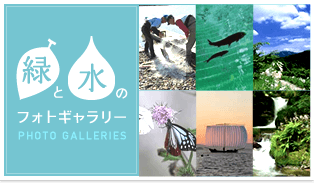 緑と水のフォトギャラリー