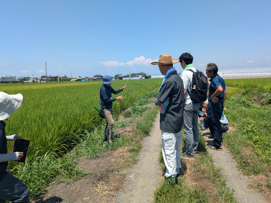 写真１