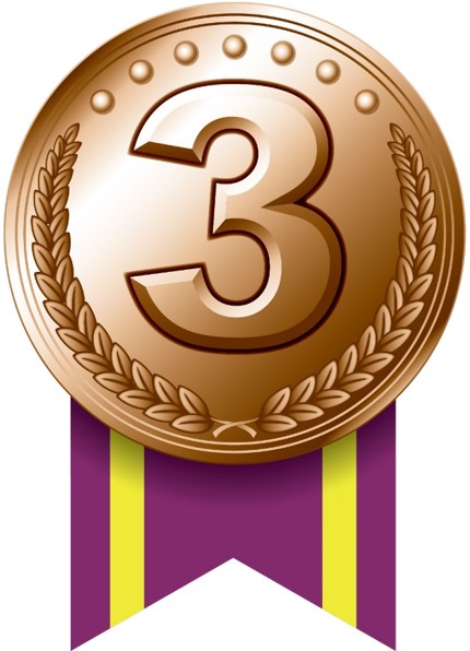 米の極み3位