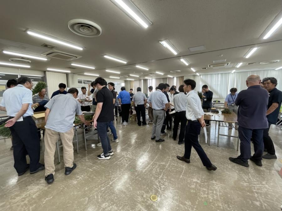 小菊品質規格調査
