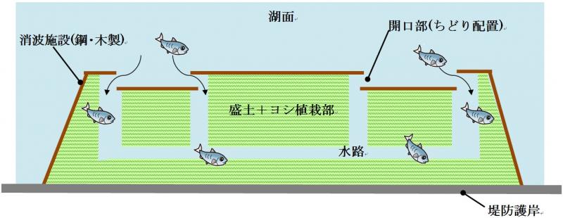 平面図