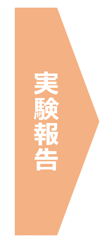 実験報告