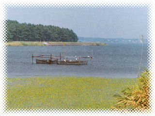利根川の風景