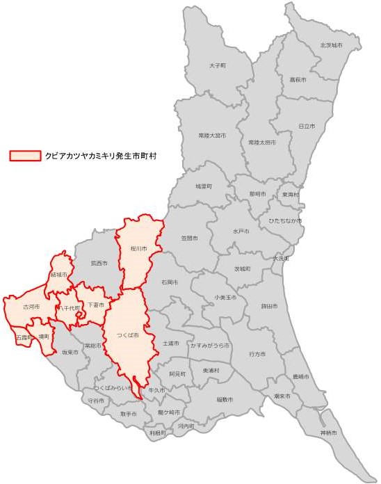 クビアカツヤカミキリ県内分布図
