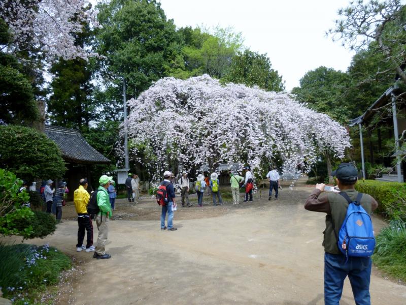 常総観光ボランティア