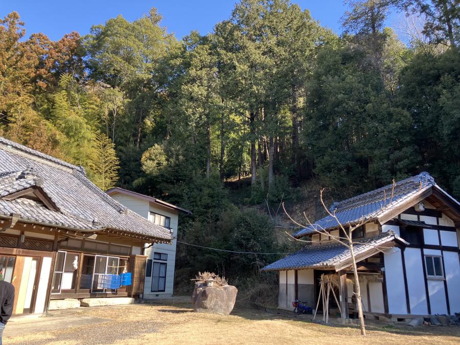 裏山