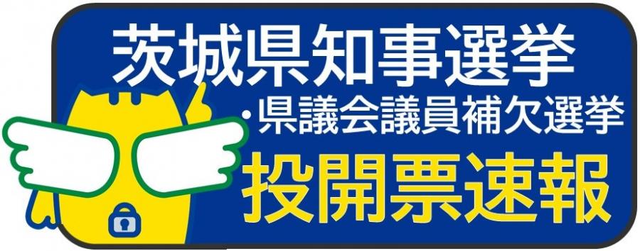 投開票速報バナー