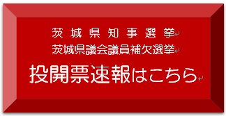 投開票速報バナー